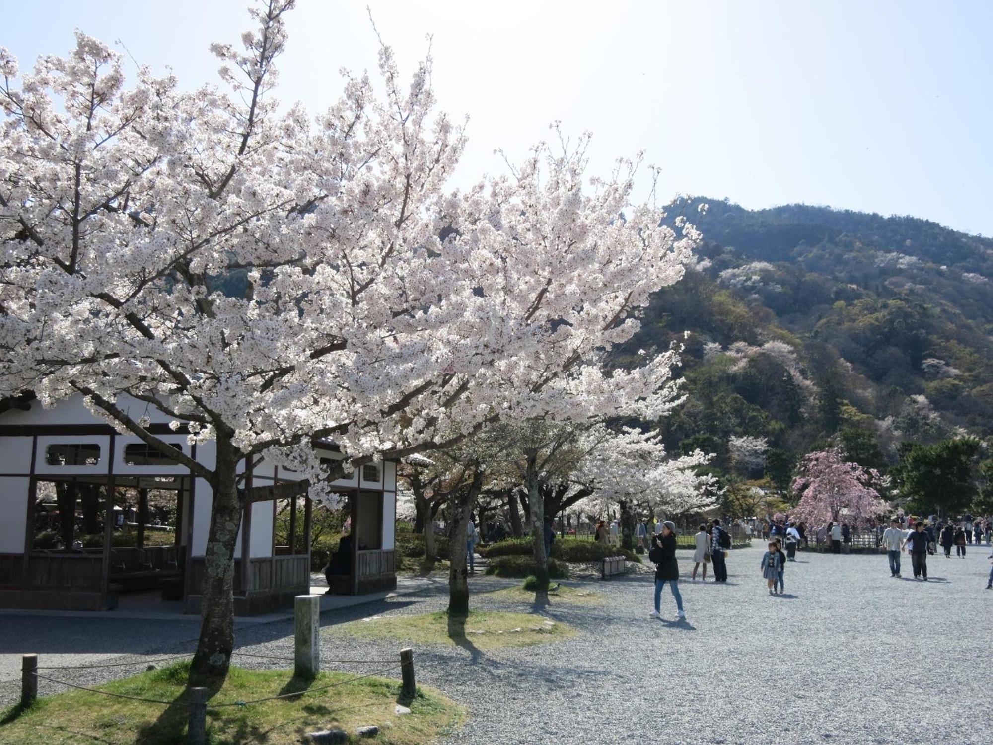 The Grandwest Arashiyama Aparthotel Kyoto Bagian luar foto